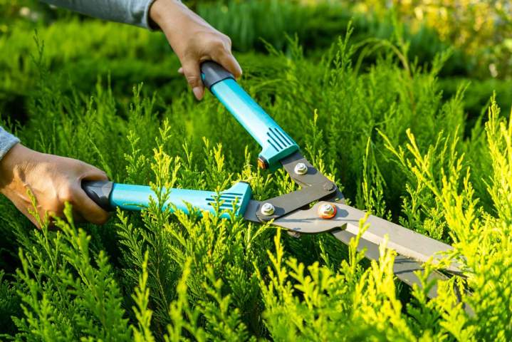 Jardinage pour l'entretien et l'embellissement de vos espaces verts