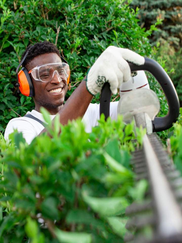 Élagage et jardinage en Guadeloupe