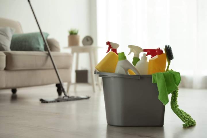 Entreprise service à domicile, Saint-François